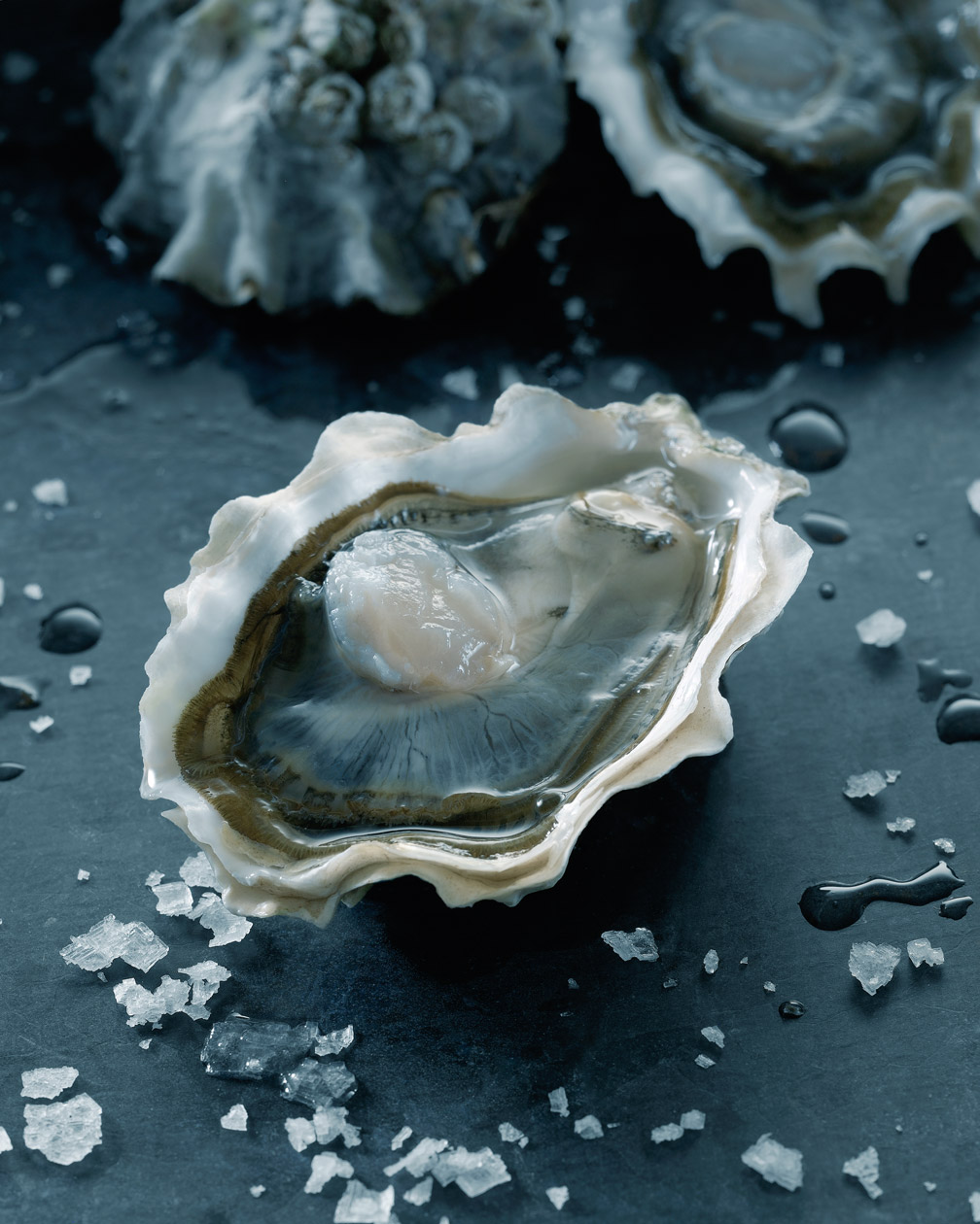 1-SHUCKED_OYSTER_WEB